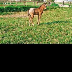 Meet your Posher, Jjose vazquez